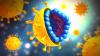 Hepatit C virüsü: nasıl enfeksiyonu önlemek için?