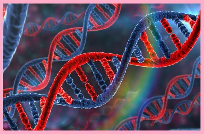 DNA parçaları (genler) kalıtsal ve hastalığa sağlık için sorumlu olan bilgileri ve yatkınlık içerirler.