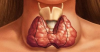 Tiroidini nasıl iyileştirilir