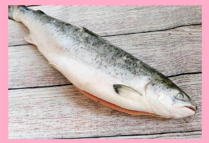 Omega - 3 balık (somon)