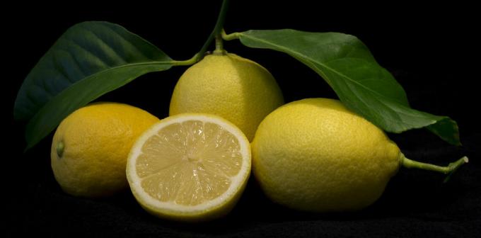 Limon - Limon