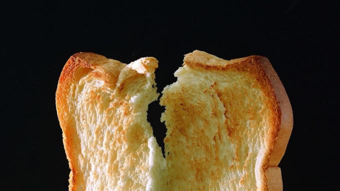 Kızarmış ekmek - Ekmek tost