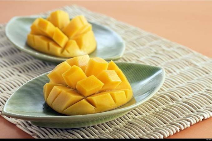 Evde bir mango nasıl yetiştirilir: adım adım talimatlar