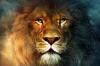 Lions 12 özellikleri, onları seveceksiniz hangi