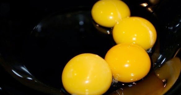 yumurta sarısı - yumurta sarısı
