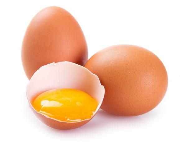 Tavuk yumurtası